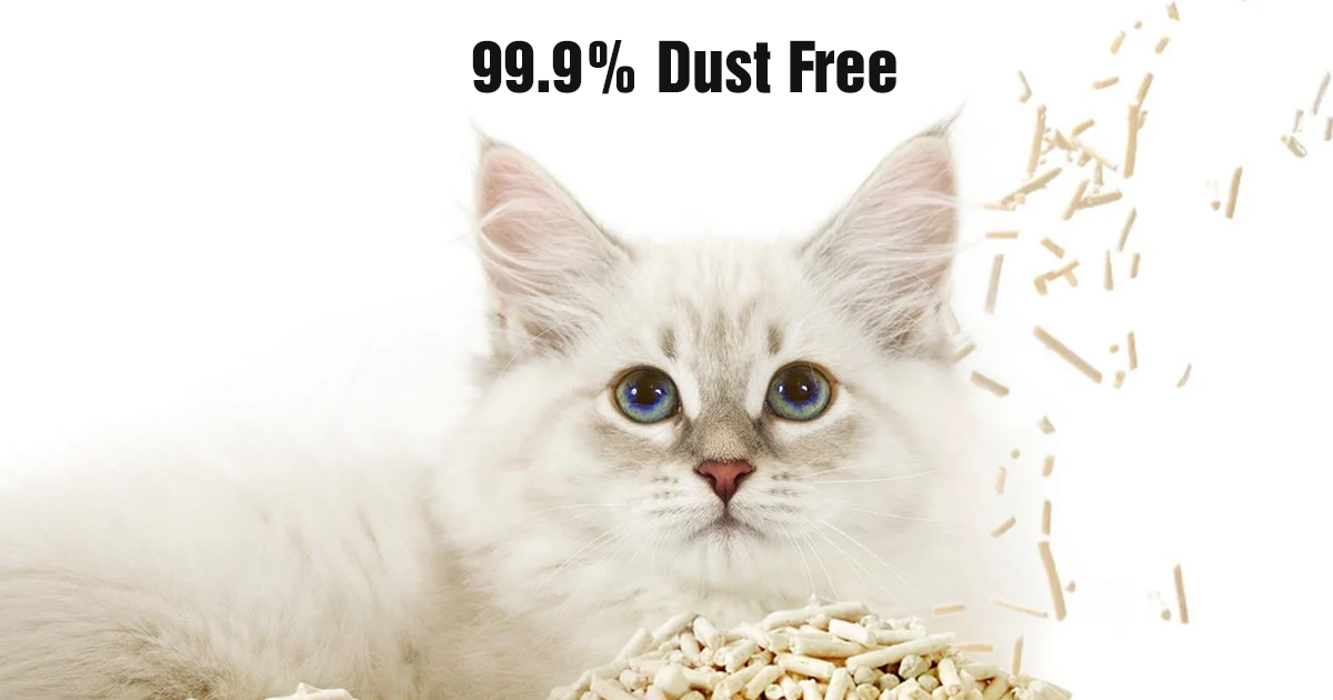 Petkit Occult Blood Test Mixed Cat Litter