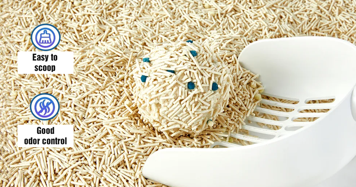 Petkit Occult Blood Test Mixed Cat Litter