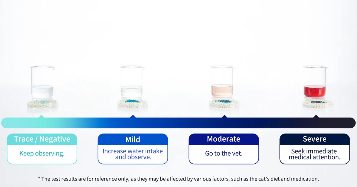 Hộp vệ sinh tự động cho mèo PETKIT PUROBOT ULTRA