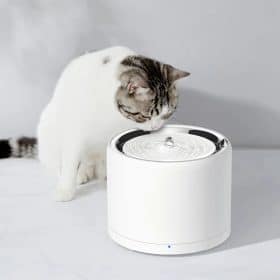 Pet Water Fountain