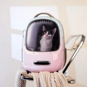 PETKIT Breezy 2 Smart Pet Backpack - Gradient Pink Blue